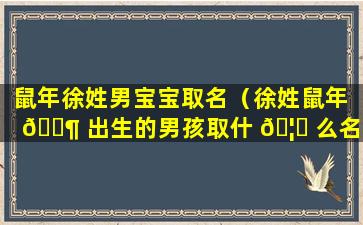 鼠年徐姓男宝宝取名（徐姓鼠年 🐶 出生的男孩取什 🦍 么名字好）